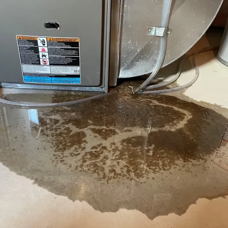 Appliance Leak Cleanup in Woodson County, KS